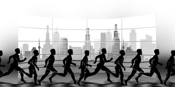 开云体育在线入口-校园田径赛事组织流程标准化建设，校园田径赛事组织流程标准化建设方案